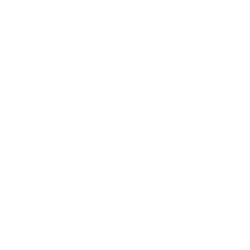 Search Engine Optimization (1)